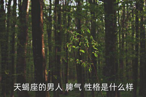  天蝎座的男人 脾氣 性格是什么樣