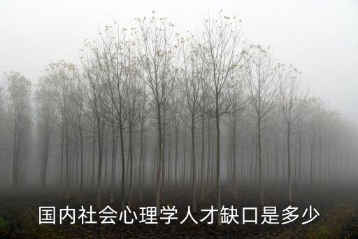 人才缺口，國內社會心理學人才缺口是多少