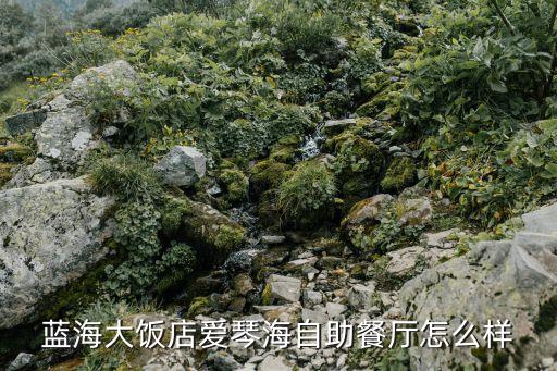 重慶市渝北區(qū)愛(ài)琴海海鮮自助餐，在重慶渝北比較高檔的日料自助餐有哪些