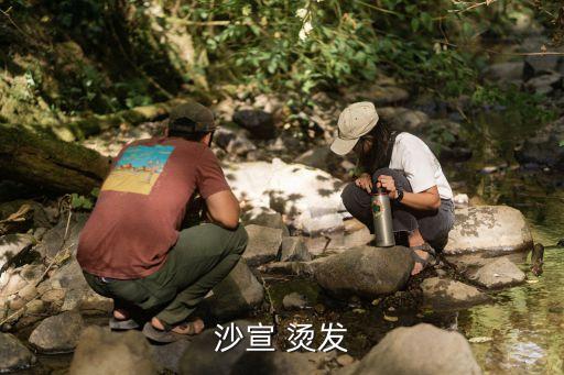 沙宣 燙發