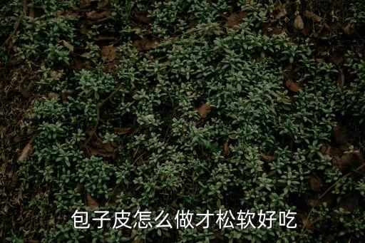  包子皮怎么做才松軟好吃