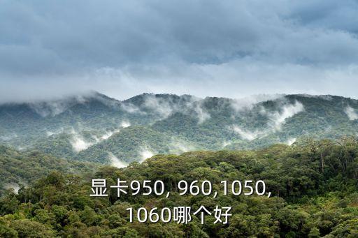 顯卡960,顯卡重量可以相差數倍但基本上沒有標準