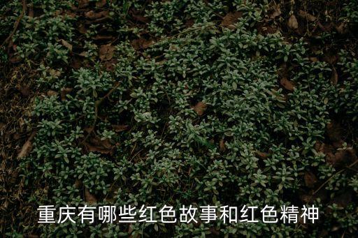 重慶有哪些紅色故事和紅色精神