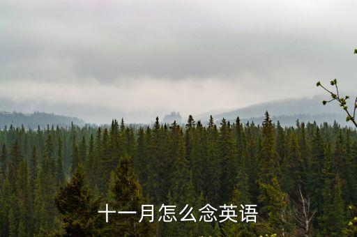十一月怎么念英語