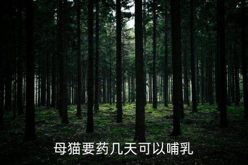 母貓要藥幾天可以哺乳