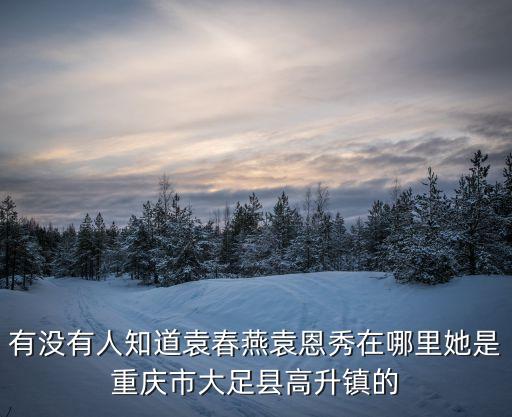 有沒有人知道袁春燕袁恩秀在哪里她是重慶市大足縣高升鎮的