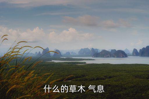 什么的草木 氣息