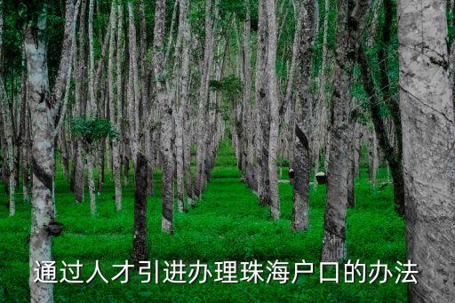 通過人才引進辦理珠海戶口的辦法