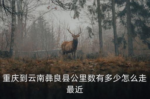 重慶到云南彝良縣公里數(shù)有多少怎么走最近