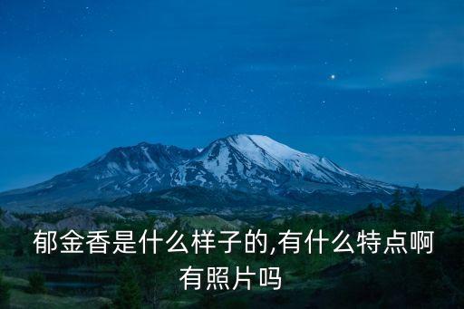  郁金香是什么樣子的,有什么特點啊有照片嗎