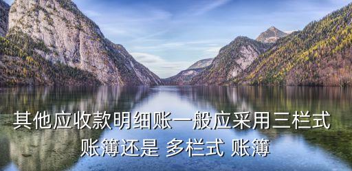 其他應收款明細賬一般應采用三欄式 賬簿還是 多欄式 賬簿