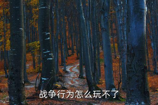 戰(zhàn)爭行為怎么玩不了
