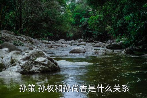 孫權(quán)孫策,孫策孫權(quán)都是孫尚香的兄弟和姐妹