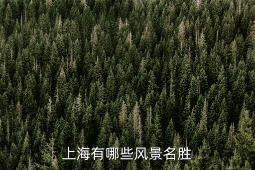 上海景點圖片大全大路，上海的景點