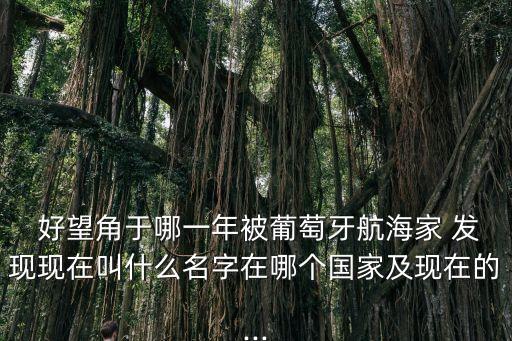 發現好望角,好望角是非洲最南端?