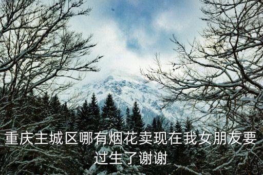 重慶市區煙花，重慶渝中區那點有賣煙花的