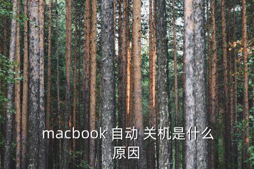 mac自動關機,病毒木馬破壞系統核心部件運行電腦或自動關機