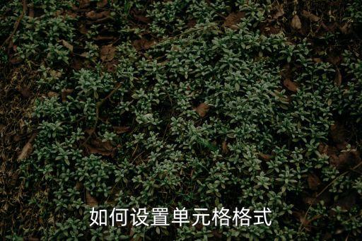 如何設(shè)置單元格格式