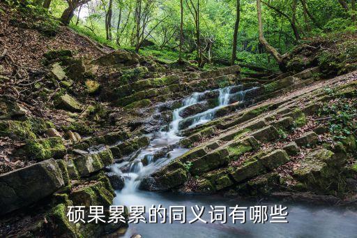 碩果累累的同義詞有哪些