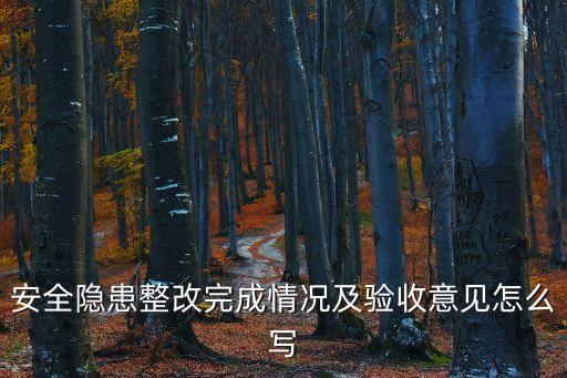 安全隱患整改完成情況及驗(yàn)收意見怎么寫