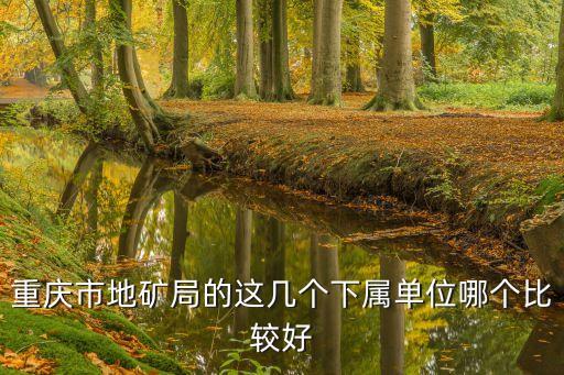 重慶市地礦局的這幾個下屬單位哪個比較好