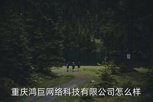 重慶鴻巨網絡科技有限公司怎么樣