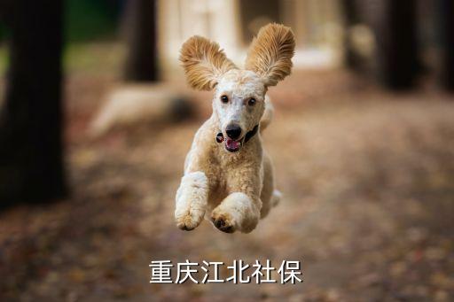 重慶市江北區社會保險局專用章，江北社保局