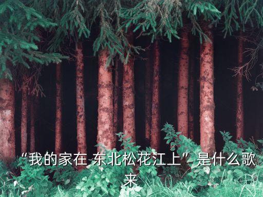 家在東北歌詞,東北-1/流亡人民張1935年創(chuàng)作抗日歌曲