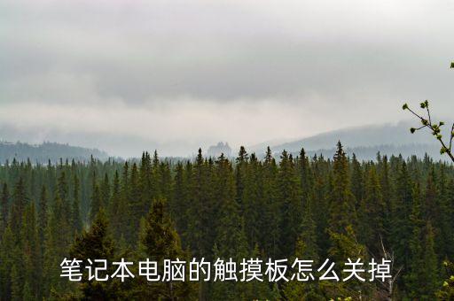 筆記本電腦的觸摸板怎么關掉