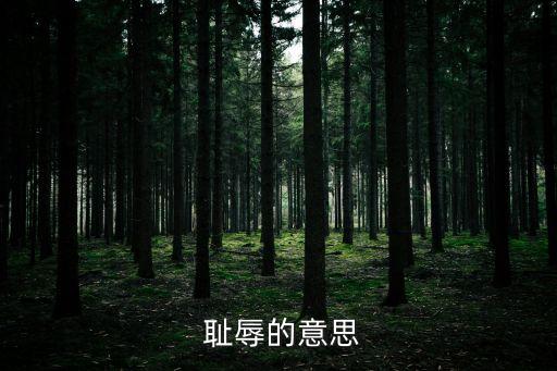 恥辱是什么意思,恥辱和可恥!
