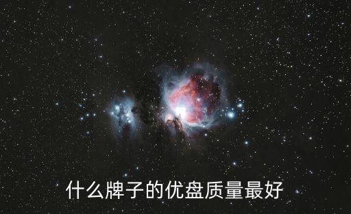 什么牌子的優盤質量最好