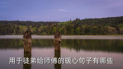 用于徒弟給師傅的暖心句子有哪些