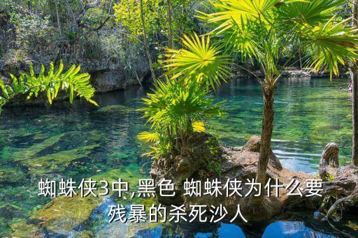 黑蜘蛛俠,被誤會是第一部電影里的蜘蛛夏感到內(nèi)疚!