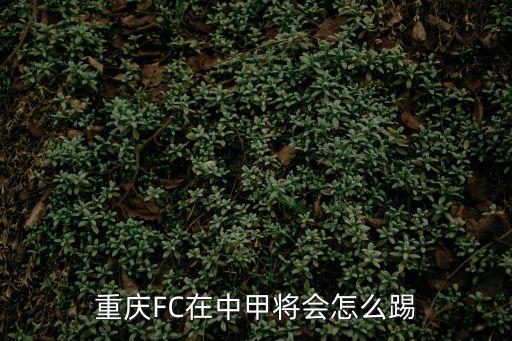 重慶FC在中甲將會怎么踢