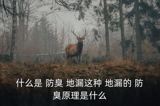 什么是 防臭 地漏這種 地漏的 防臭原理是什么