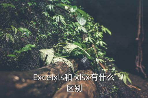 Excelxls和 xlsx有什么區別