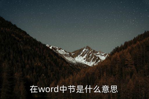 在word中節(jié)是什么意思