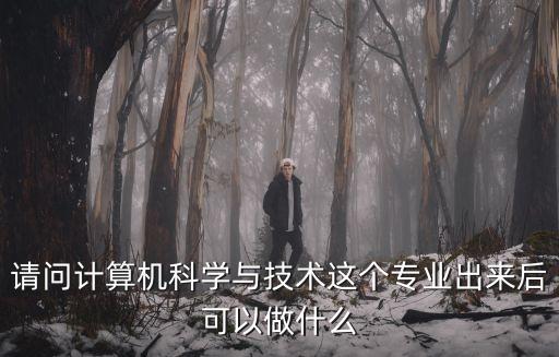 請問計算機科學與技術這個專業出來后可以做什么