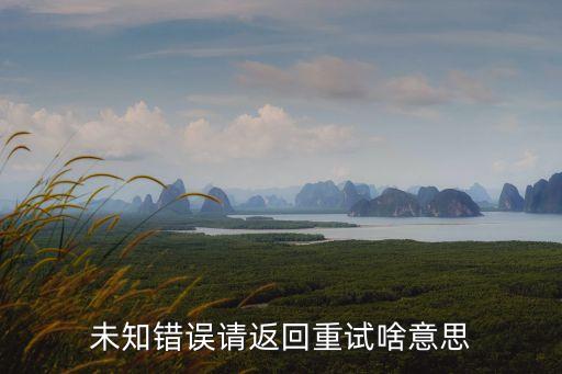 未知錯(cuò)誤請(qǐng)返回重試啥意思