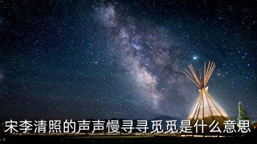 宋李清照的聲聲慢尋尋覓覓是什么意思