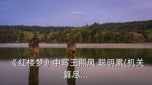 《紅樓夢》中寫王熙鳳 聰明累(機關算盡...