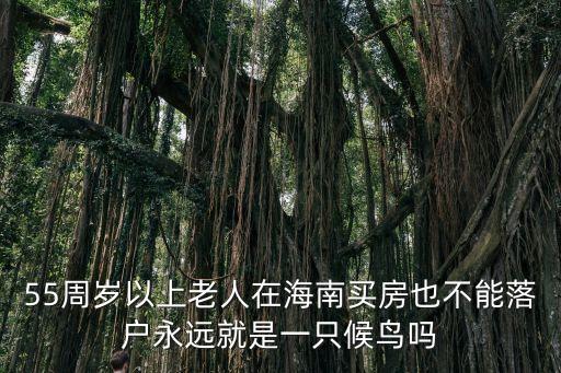 55周歲以上老人在海南買房也不能落戶永遠就是一只候鳥嗎