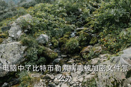 電腦中了比特幣勒索病毒被加密文件怎么辦
