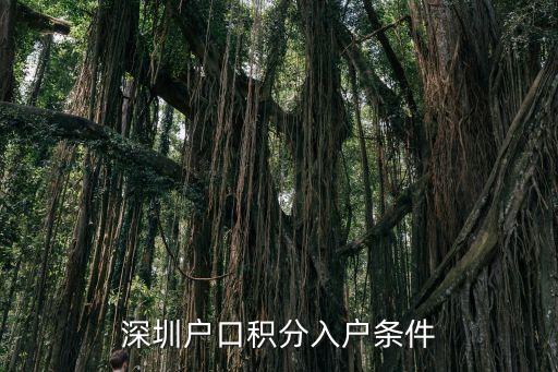 深圳戶口積分入戶條件