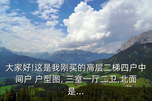 大家好!這是我剛買的高層二梯四戶中間戶 戶型圖, 三室一廳二衛,北面是...