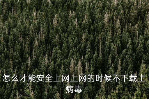 怎么才能安全上網上網的時候不下載上病毒