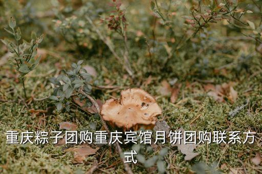 重慶粽子團購重慶賓館月餅團購聯系方式