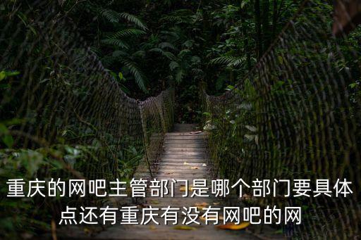重慶的網吧主管部門是哪個部門要具體點還有重慶有沒有網吧的網