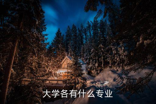 大學各有什么專業