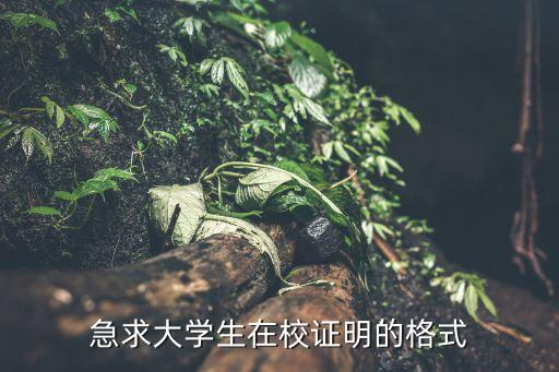 急求大學生在校證明的格式